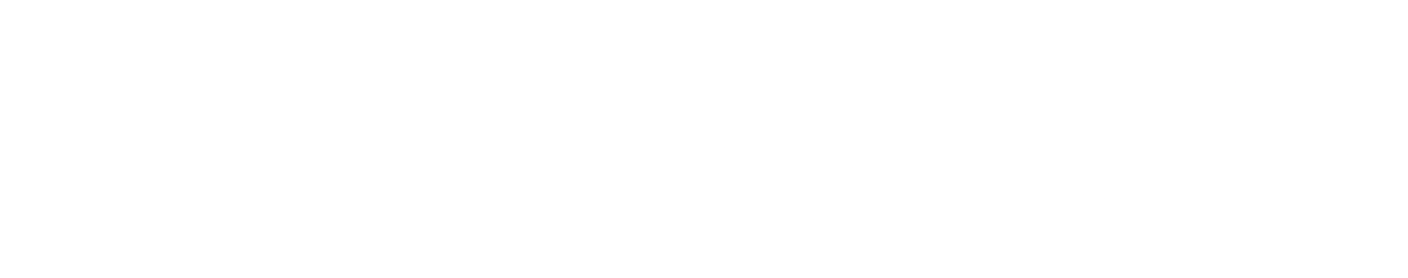 SkyVision